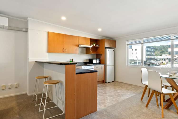 17/3 Kelvin Grove Te Aro_8