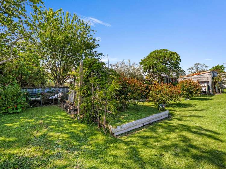 11 Bear Street Waverley_33