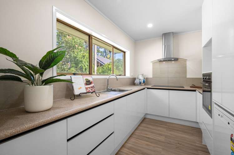 351 Triangle Road Massey_3