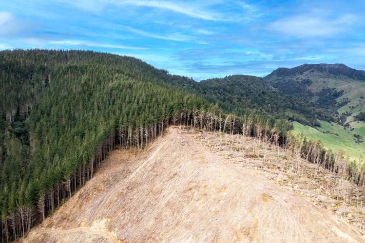 Lots 2-4, 14, 15, DP 9115 Motu Road Matawai_7