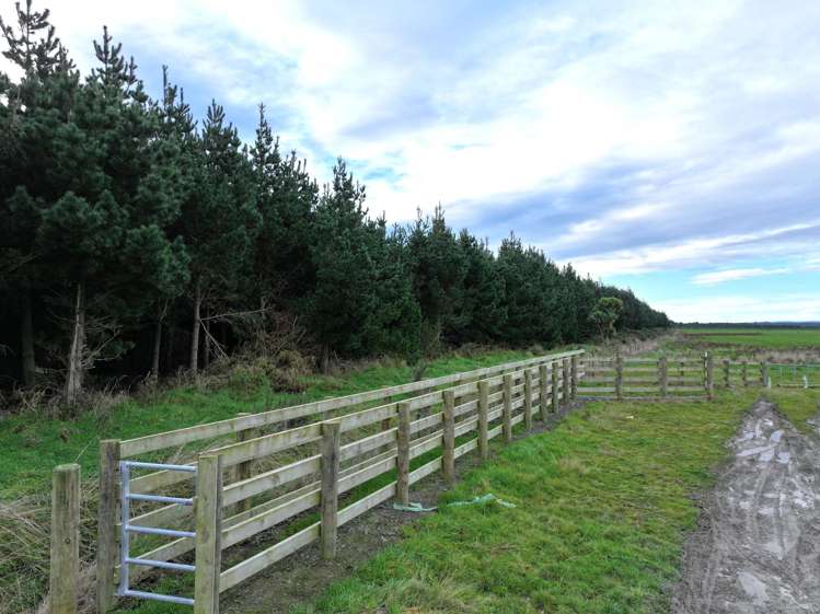 820 Holz Road Gorge Road_15