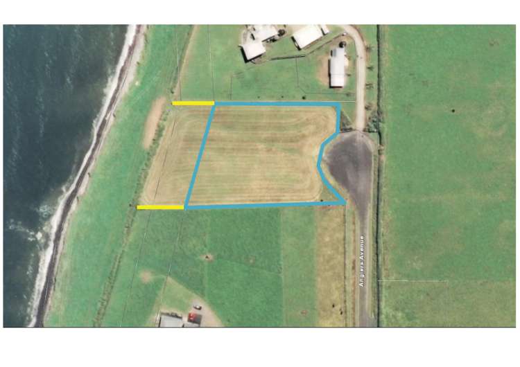 Anglers Avenue Warea_11