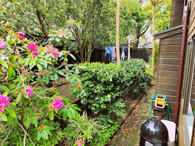 3a Abbotsford Terrace Devonport_16