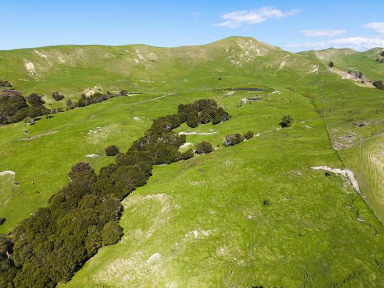 327 and 327a Taurau Valley Road Muriwai_6