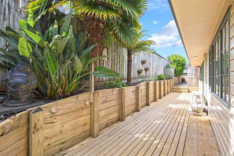 123a Cook Street Howick_24