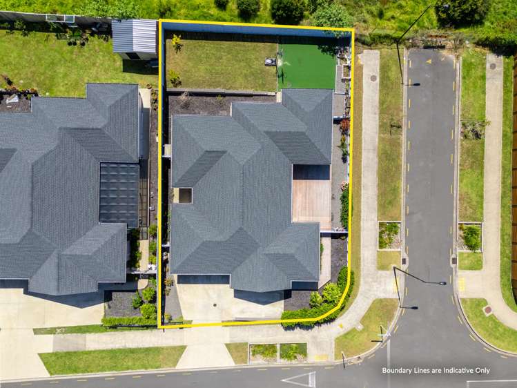 22 Kauri Gum Rise Swanson_24