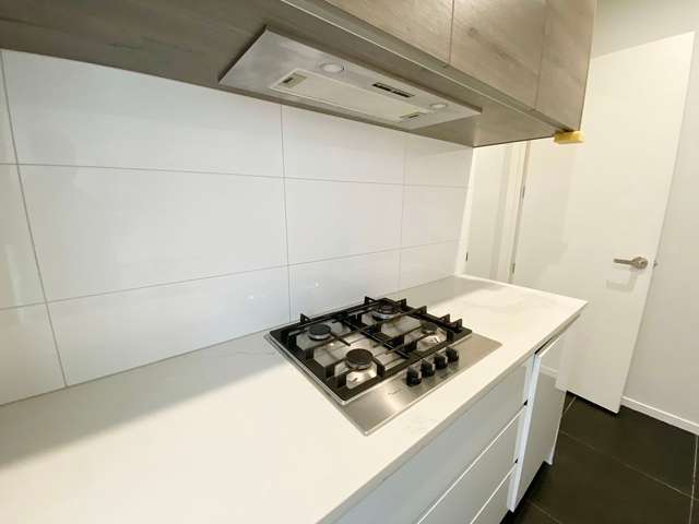 13 Hermes Road Flat Bush_2