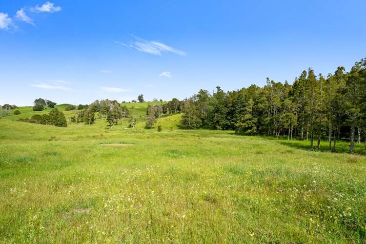 Lot 3 Prictor Rd Wellsford_25