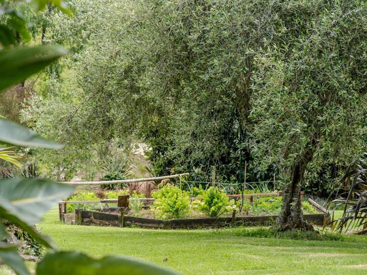 45C Maraenui Drive Kerikeri_23