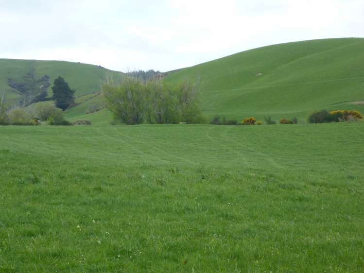 Glenledi Road Milton_5