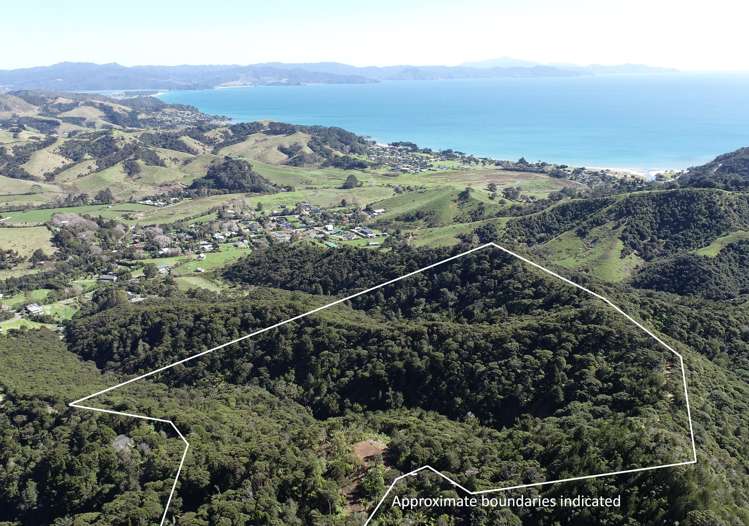 109 Kawhina Lane Kuaotunu_9