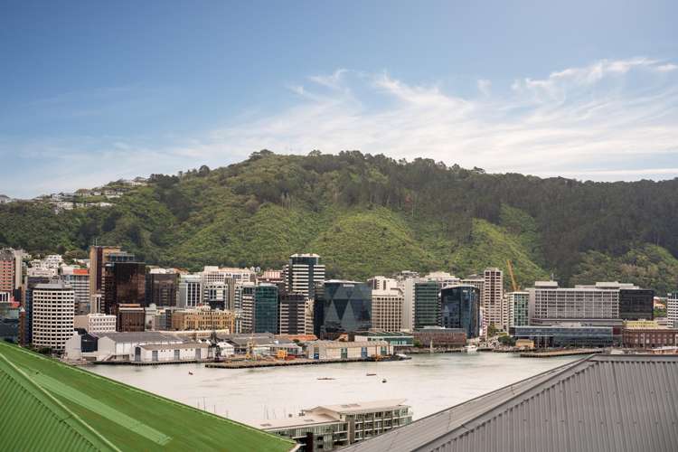 2 Shannon Street Mount Victoria_11