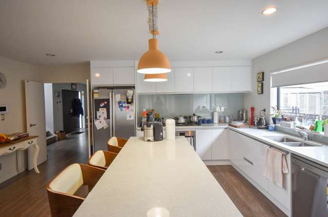 54a Olsen Avenue Hillsborough_4