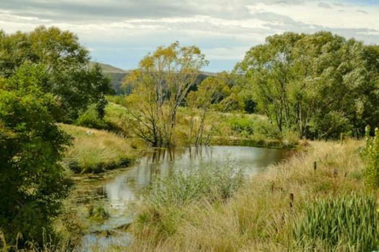 780 Chatto Creek - Springvale Road Alexandra_19