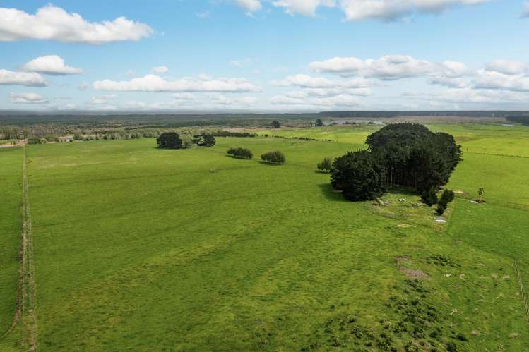 293 Beamish Road Bulls_16