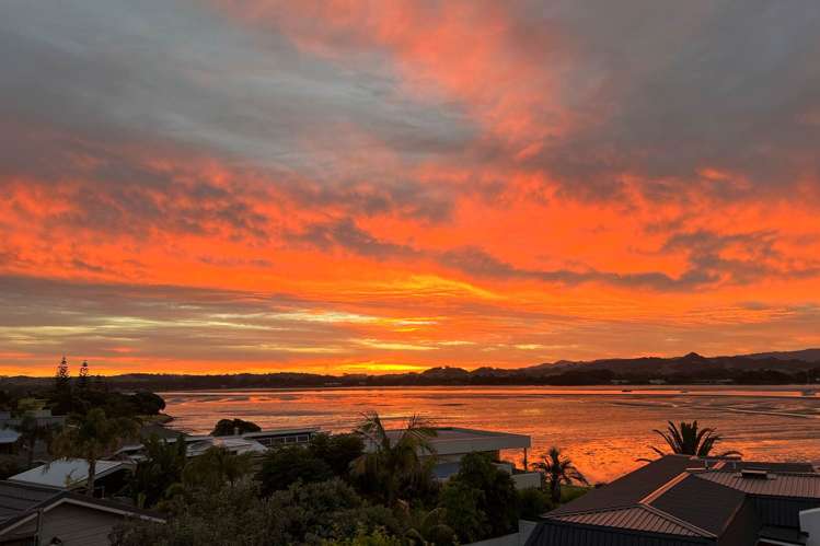 155 Omaha Drive Omaha_4