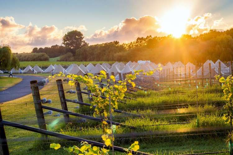 Address withheld New Zealand_1