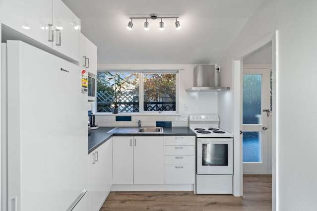 321B Wairakei Road Burnside_3