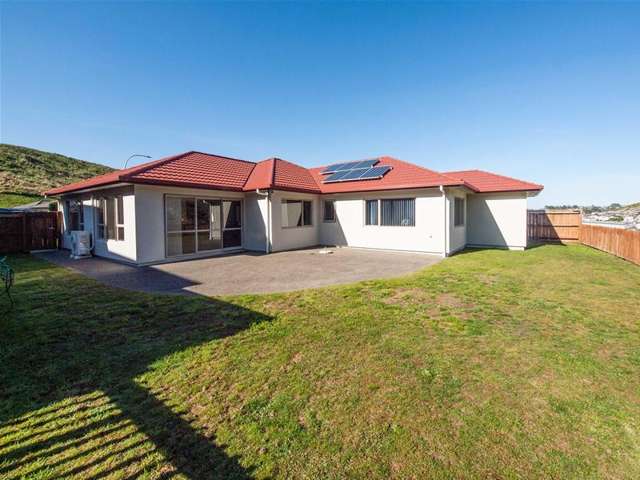 21 Gifford Grove Churton Park_1