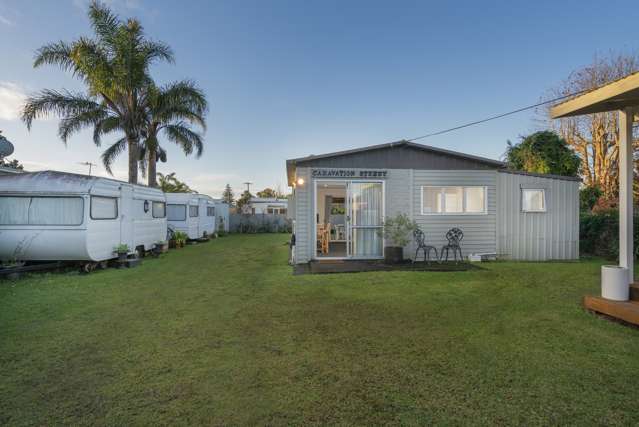 35 South Highway Whitianga_3