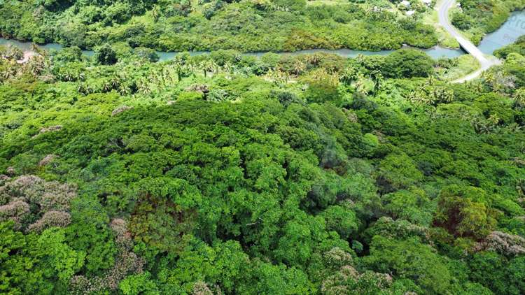 Address withheld Savusavu_7