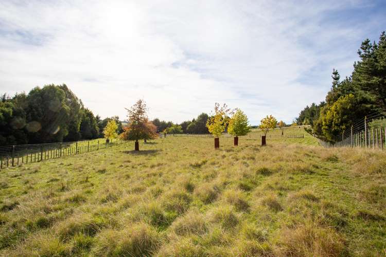 1204j State Highway 3 Kai Iwi_6