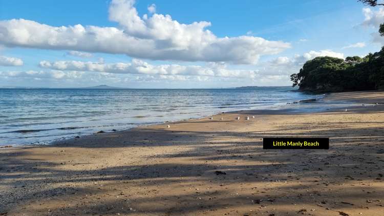 4a Tiri Road Manly_7