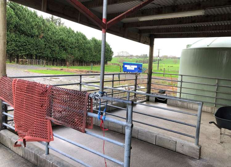 23 Ngutunui Road Puketotara_11