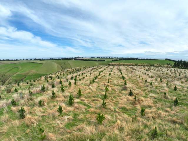 174 McCulloch Road Awamangu_1