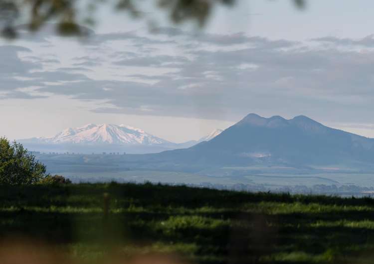 Deep Creek Road Rotorua_1