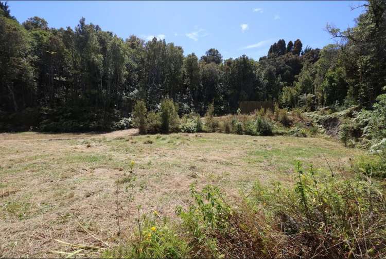 25 Scandinavian Street Hokitika_21