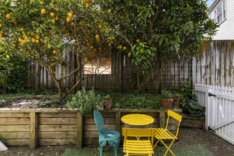 1 Murdoch Road Grey Lynn_14
