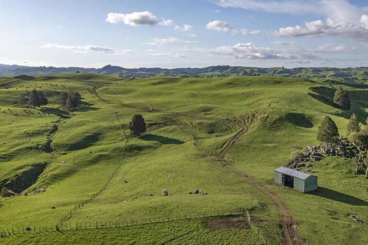 574 Mangaotaki Road Piopio_7