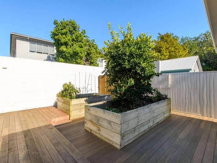 38 Park Street Tauranga Central_26