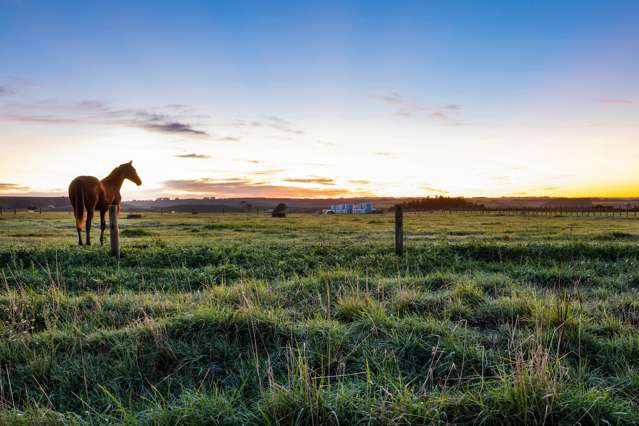 Fraser Road Normanby_1