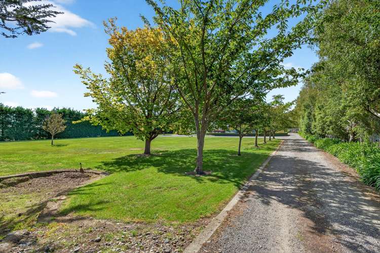 41 Oxford Street Martinborough_26