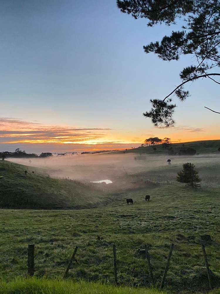 105 Annandale Road Kumeu_12