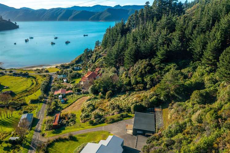 1476 Port Underwood Road Oyster Bay Port Underwood_15