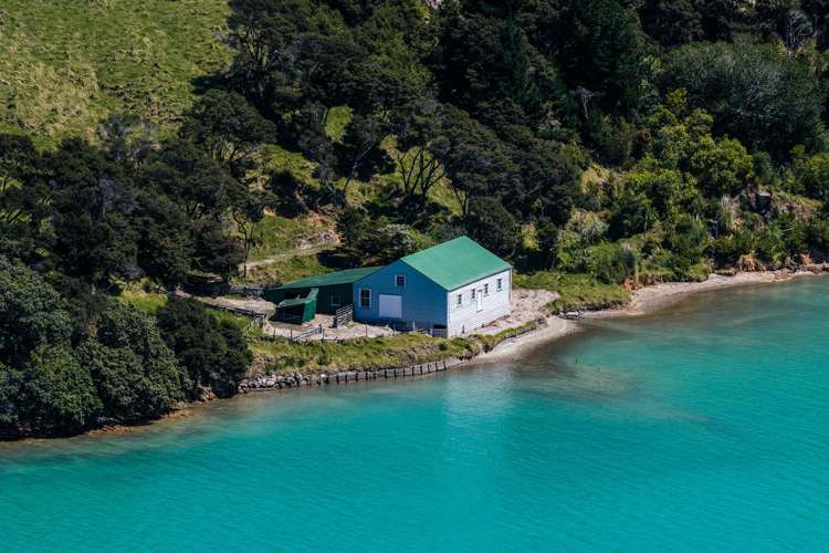 630 Gordons Road Waiheke Island_13