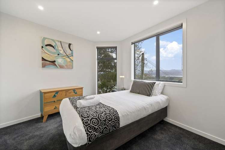 4A Robieson Lane Roseneath_7