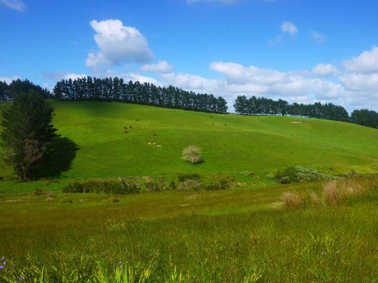 372 Cable Bay Block Road Cable Bay_9