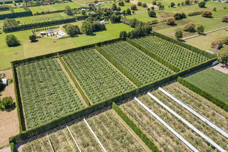 121a Macdonald Road Te Teko_20