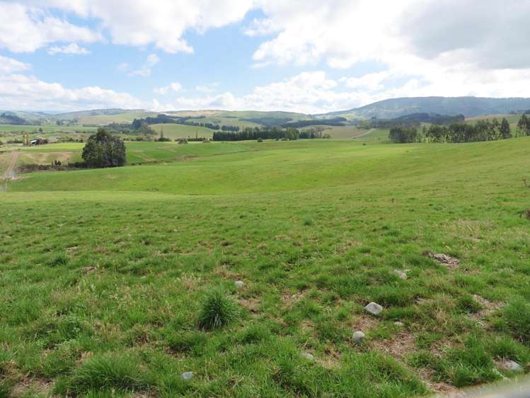 399 Gualter Road Geraldine_7