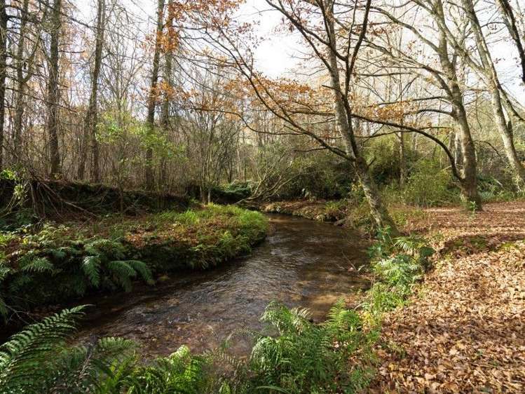 763 Paradise Valley Road Ngongotaha Valley_9