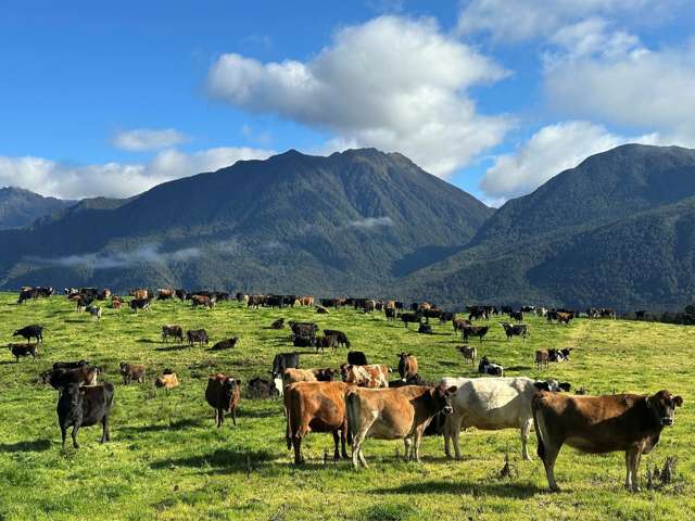 2434 State Highway 65 Maruia_2