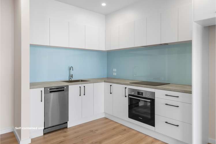 120 Burdon Loop Lake Hawea_15