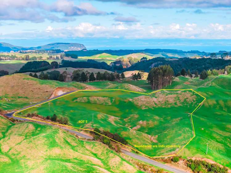 473 Otake Road Marotiri_9