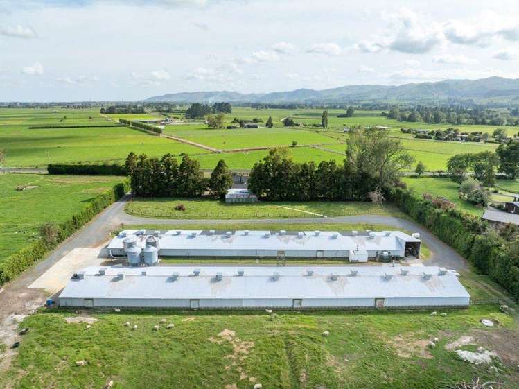 31 Te Kanawa Road Te Aroha_1