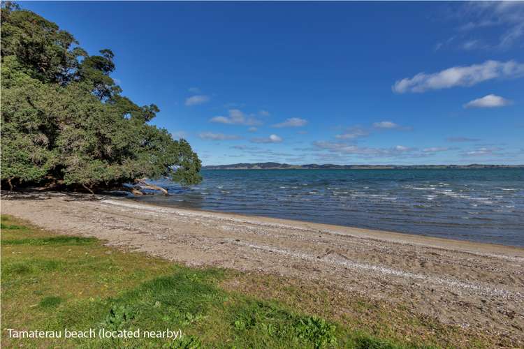 48 Scott Road Tamaterau_22