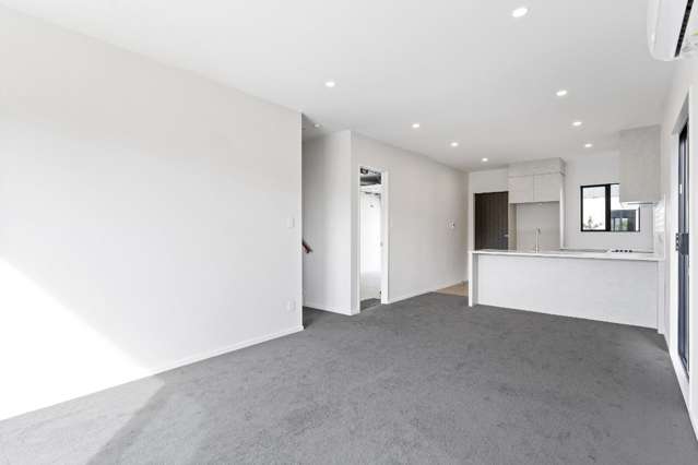 176c Princes Street Pukekohe_4